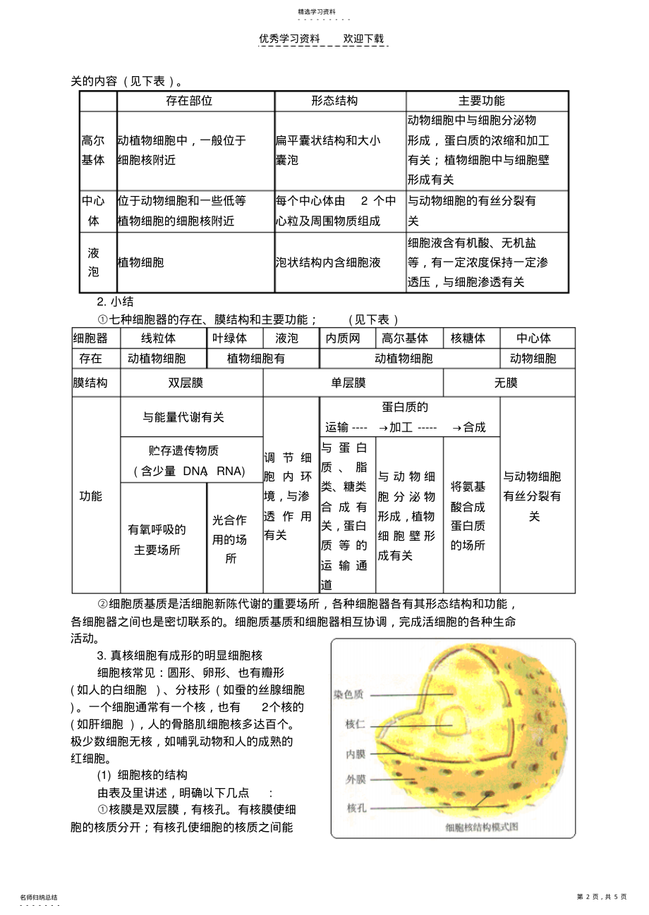 2022年高二生物细胞核的结构与功能 .pdf_第2页