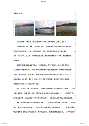 2022年黑膜沼气池 .pdf