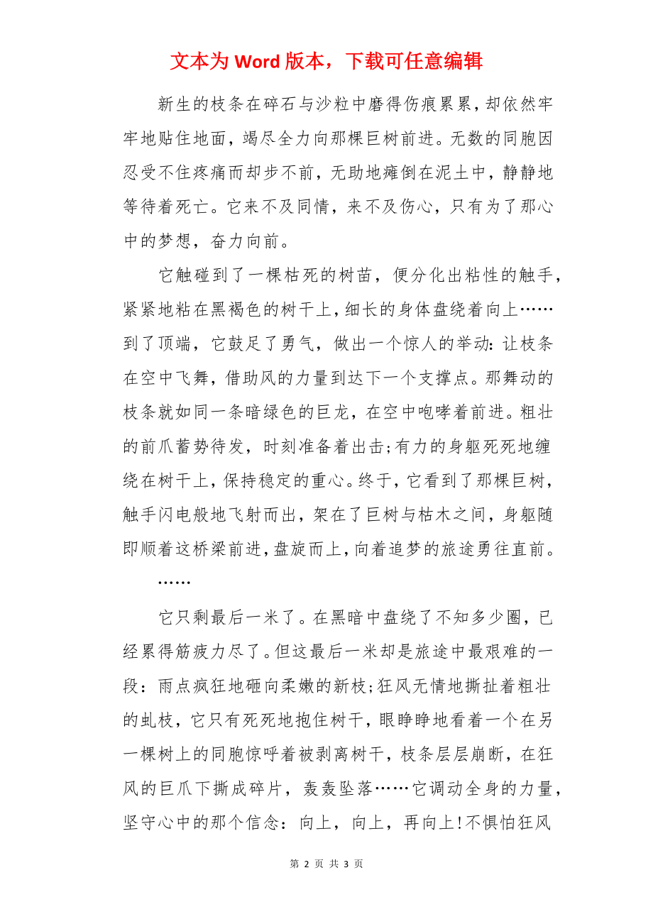 中考满分作文：追梦.docx_第2页