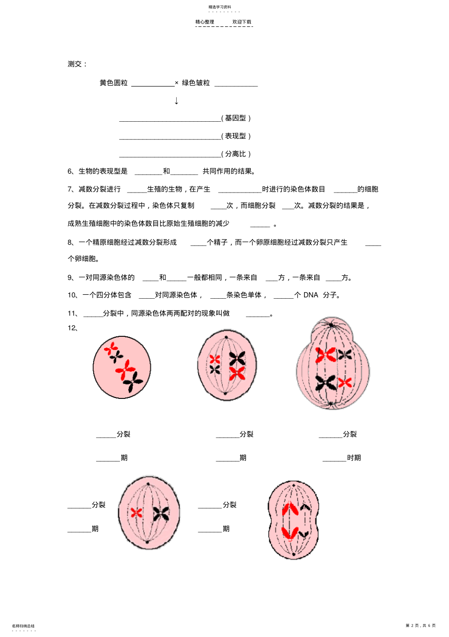 2022年必修二知识点识记 .pdf_第2页