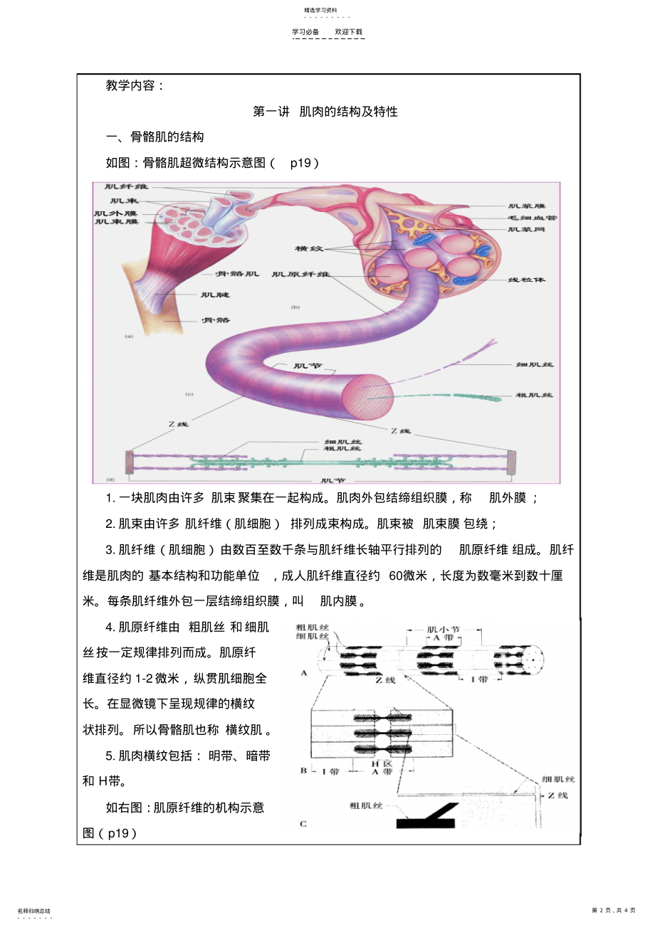 2022年高校教师资格教学技能考试教案---运动生理学 .pdf_第2页