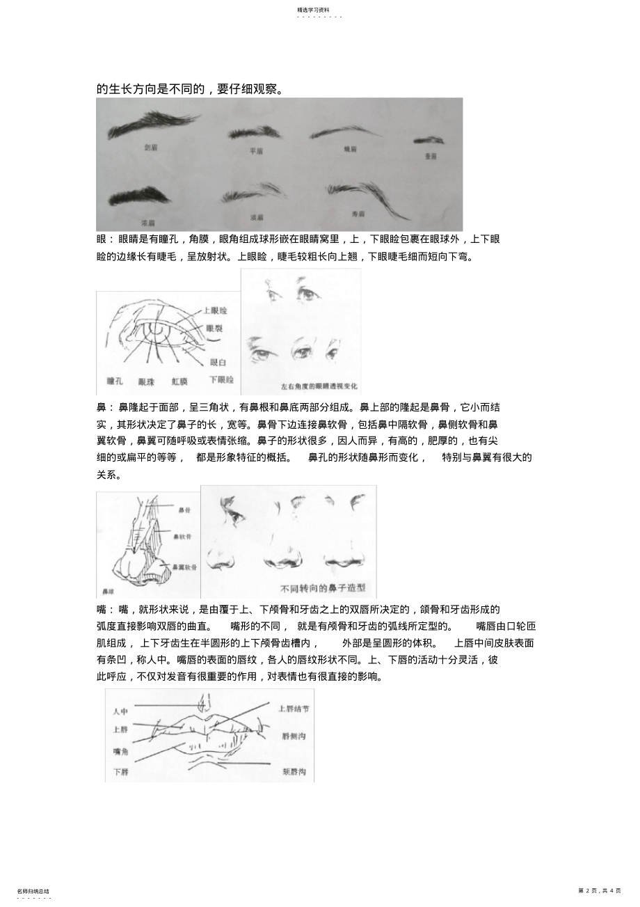 2022年高二年级人物头像素描教案 .pdf_第2页