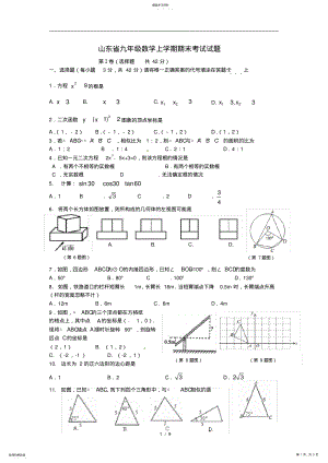 2022年山东省九年级数学上学期期末考试试题新人教版 .pdf