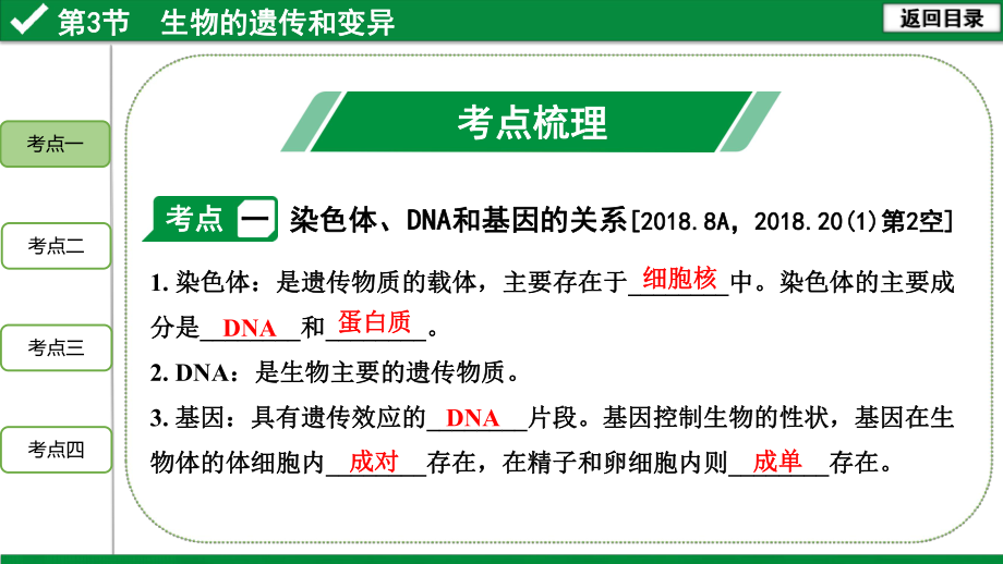 2020年生物中考复习主题6第3节-生物的遗传和变异ppt课件.pptx_第2页