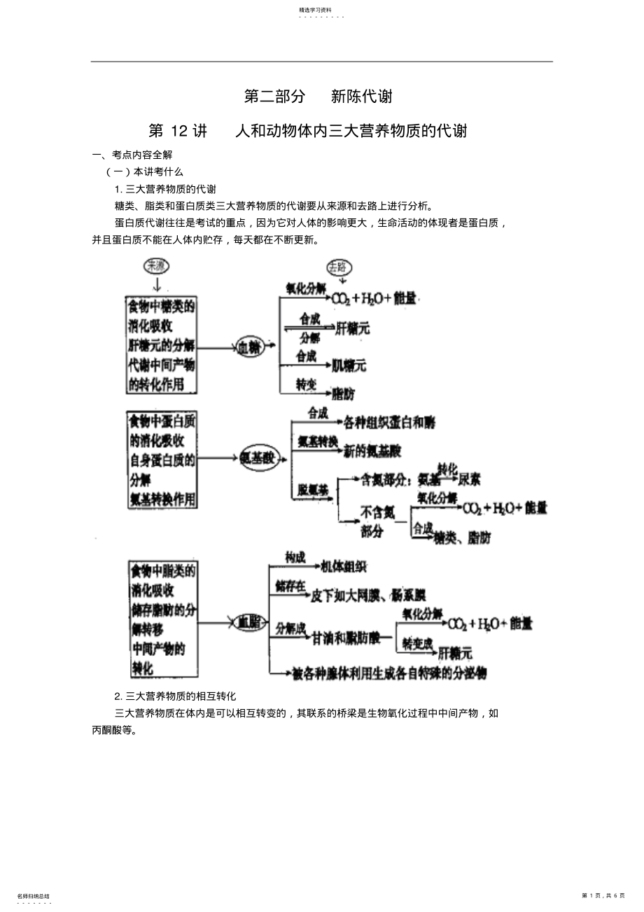 2022年高考生物复习教案第12讲三大物质的代谢 .pdf_第1页