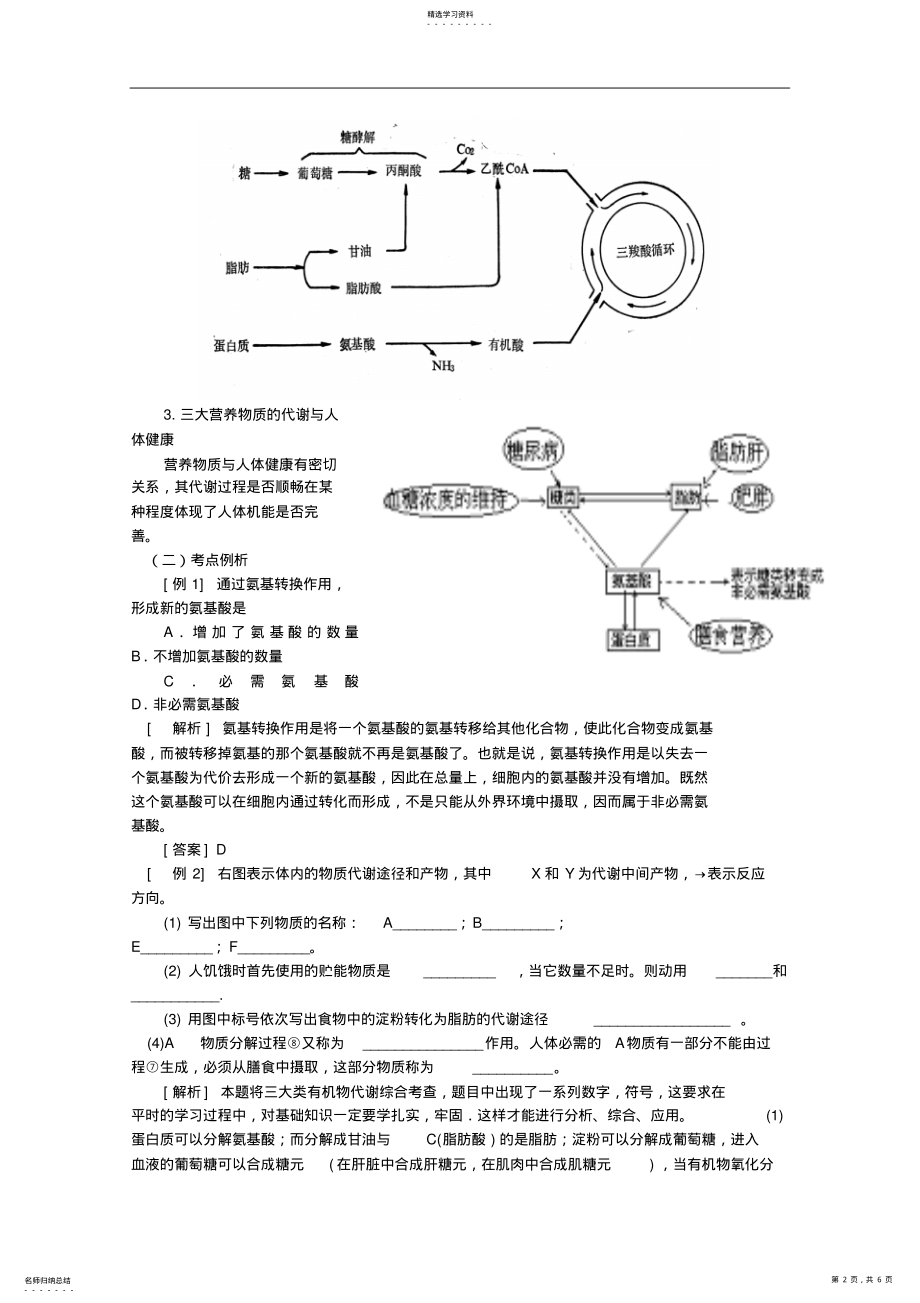 2022年高考生物复习教案第12讲三大物质的代谢 .pdf_第2页