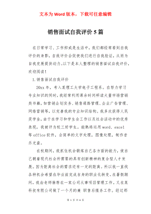 销售面试自我评价5篇.docx