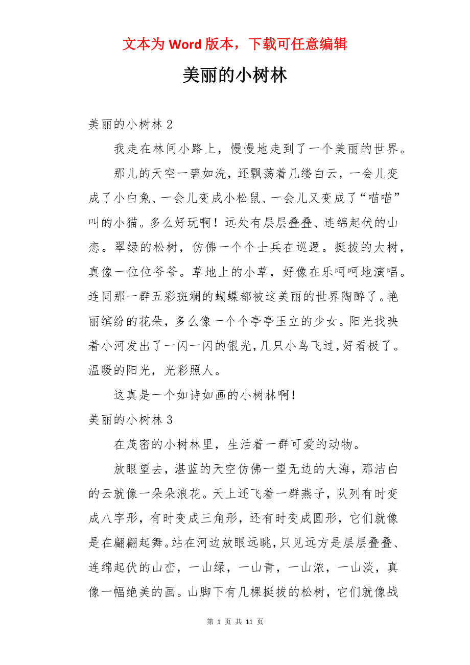 美丽的小树林.docx_第1页