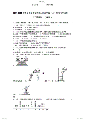 2022年山东省泰安市九年级期末化学试卷 .pdf