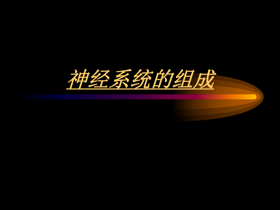 神经系统的组成和功能000.ppt_第1页