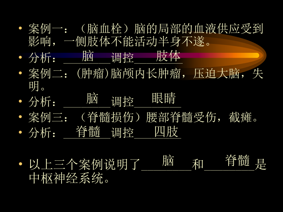 神经系统的组成和功能000.ppt_第2页