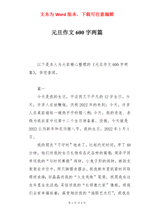 元旦作文600字两篇.docx