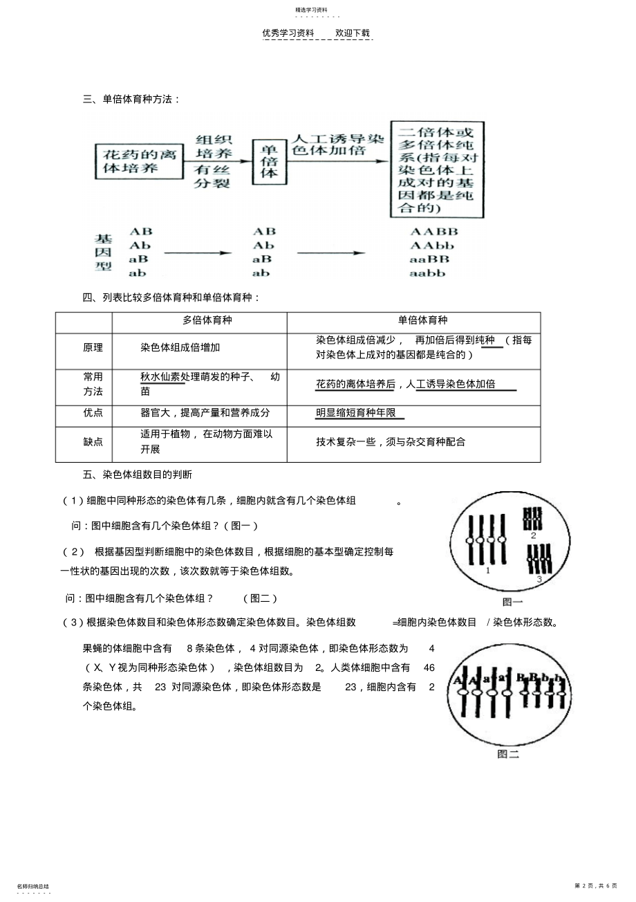 2022年高三一轮复习染色体变异 .pdf_第2页