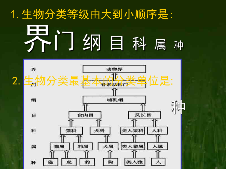 第二章《认识生物的多样性》课件 (2).ppt_第2页