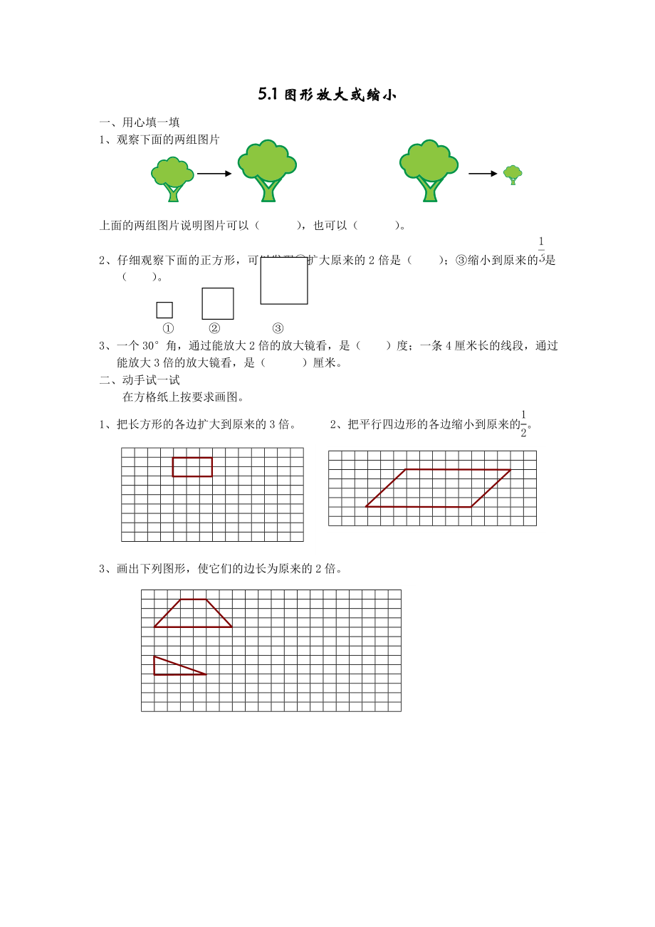 5.1图形放大或缩小.doc_第1页