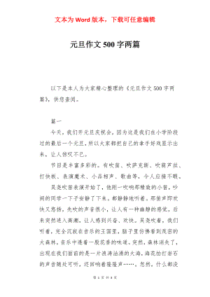 元旦作文500字两篇.docx