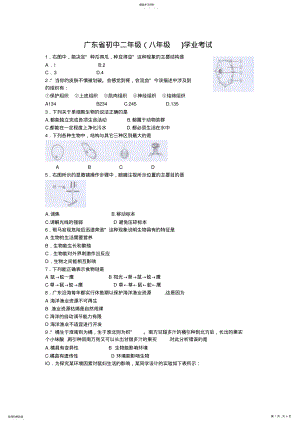 2022年广东省初中生物学业考试试卷 .pdf