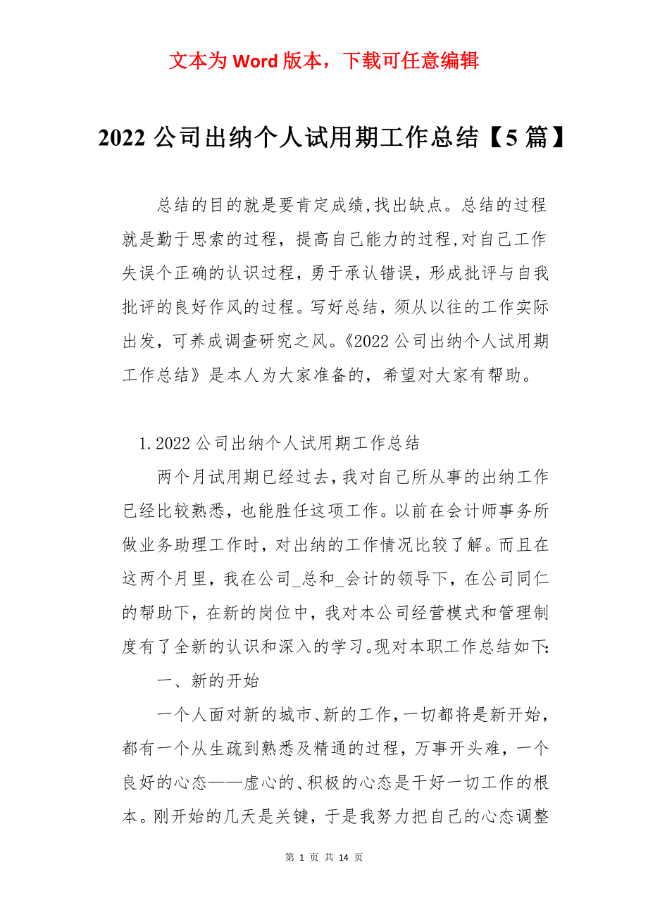 2022公司出纳个人试用期工作总结【5篇】.docx_第1页