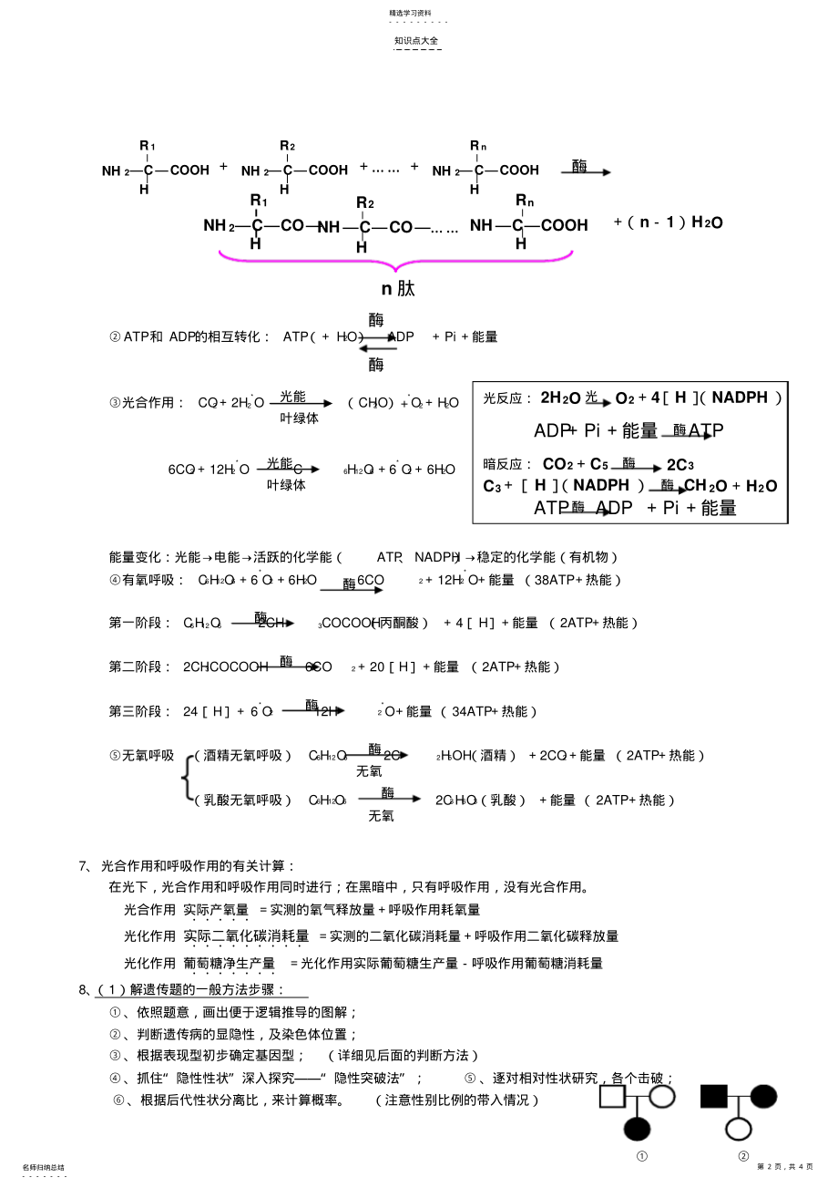 2022年高考生物知识点总结 2.pdf_第2页