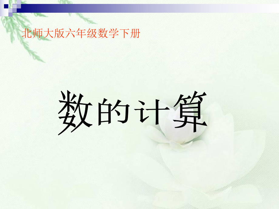 北师大版数学六年级下册《数的计算》课件.ppt_第1页