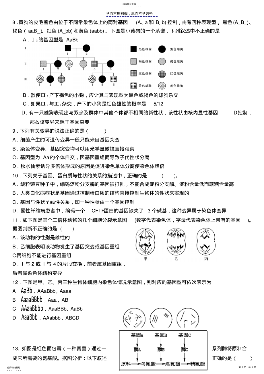 2022年高中生物一轮复习必修二试题 .pdf_第2页