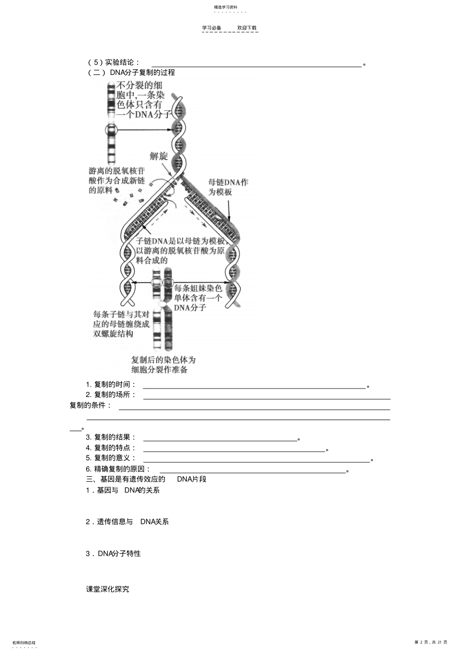 2022年高考生物第一轮复习DNA分子的结构复制及基因学案 .pdf_第2页