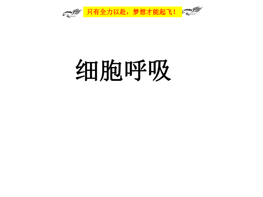 一轮复习细胞呼吸(实用简化版)ppt课件.ppt_第1页