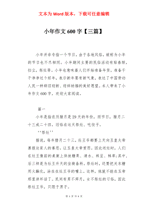 小年作文600字【三篇】.docx