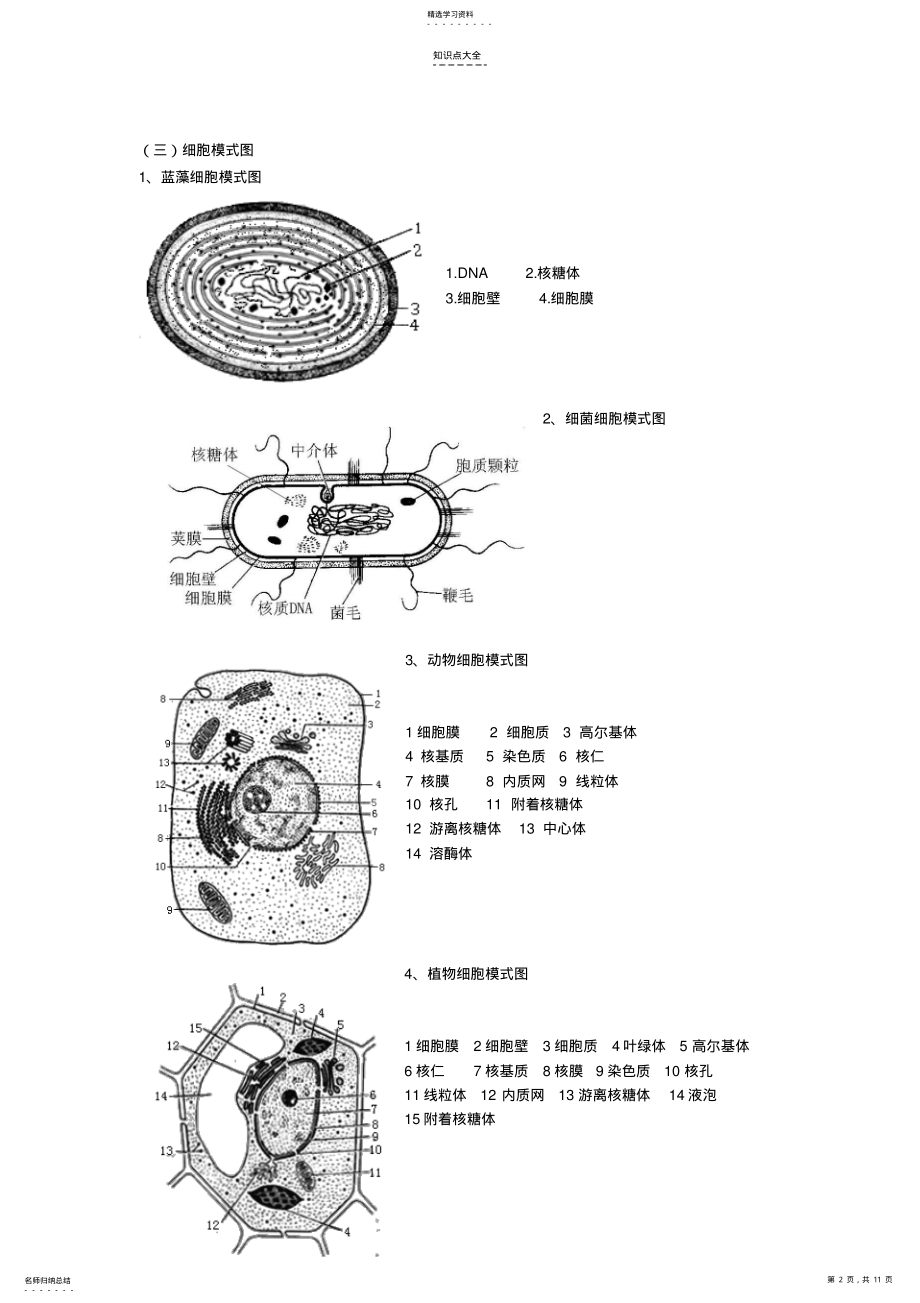 2022年高考生物知识归纳细胞结构 .pdf_第2页