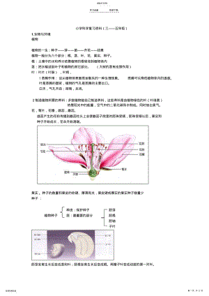 2022年教科版小学科学毕业总复习提纲 .pdf