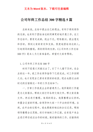 公司年终工作总结300字精选5篇.docx