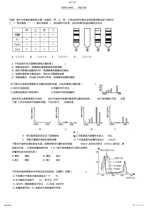 2022年高三光合作用呼吸作用基础选择题 .pdf