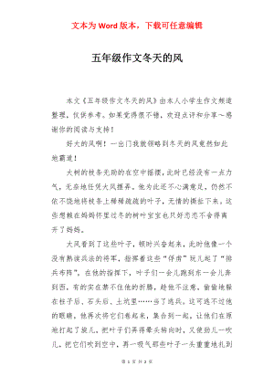 五年级作文冬天的风.docx