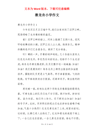 赛龙舟小学作文.docx