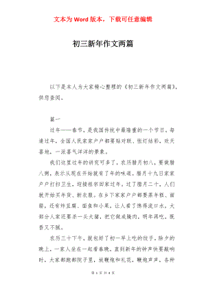 初三新年作文两篇.docx