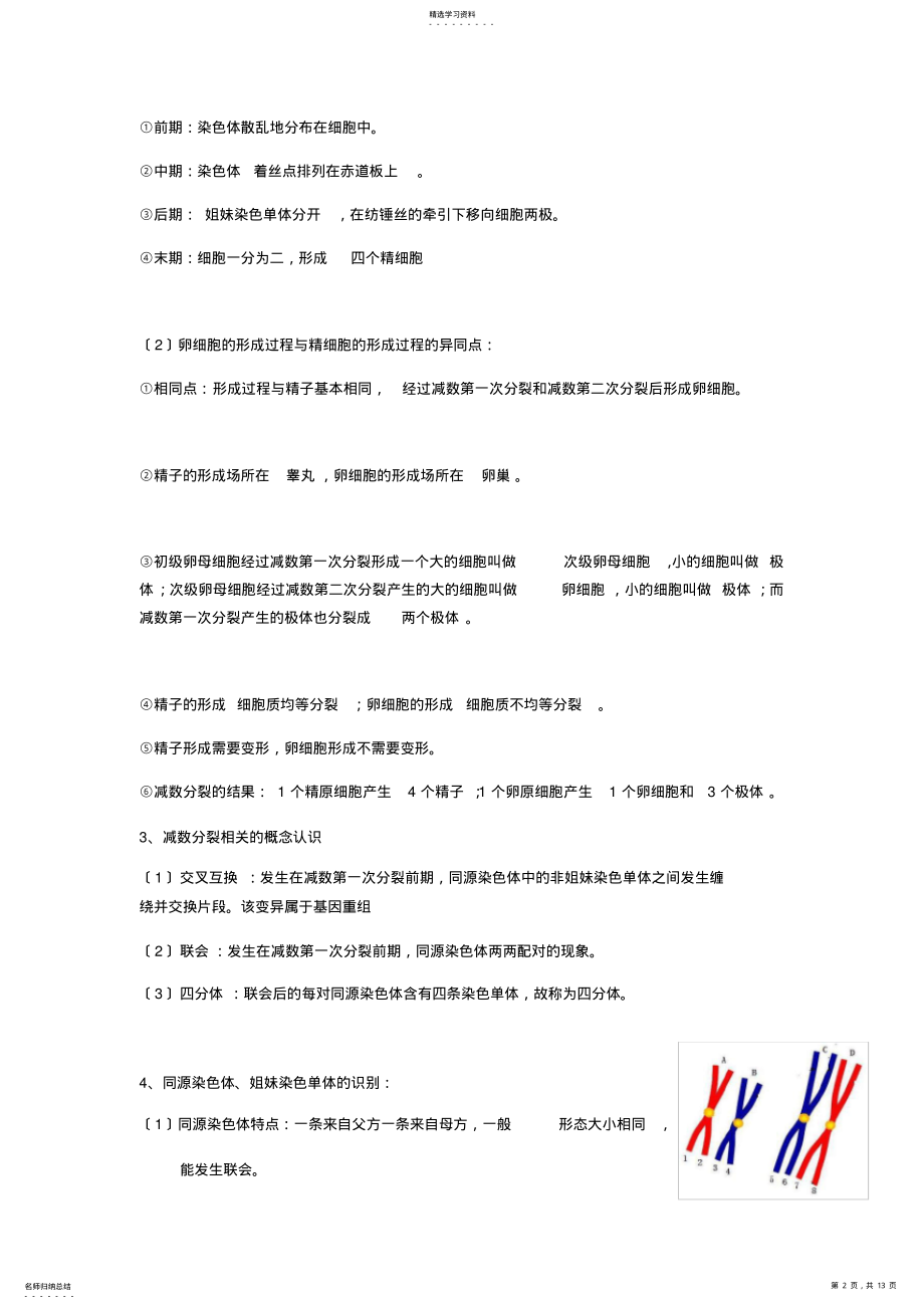 2022年高中生物必修二-第二章-基因和染色体的关系 .pdf_第2页