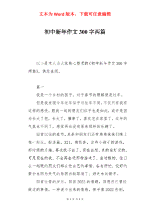 初中新年作文300字两篇.docx