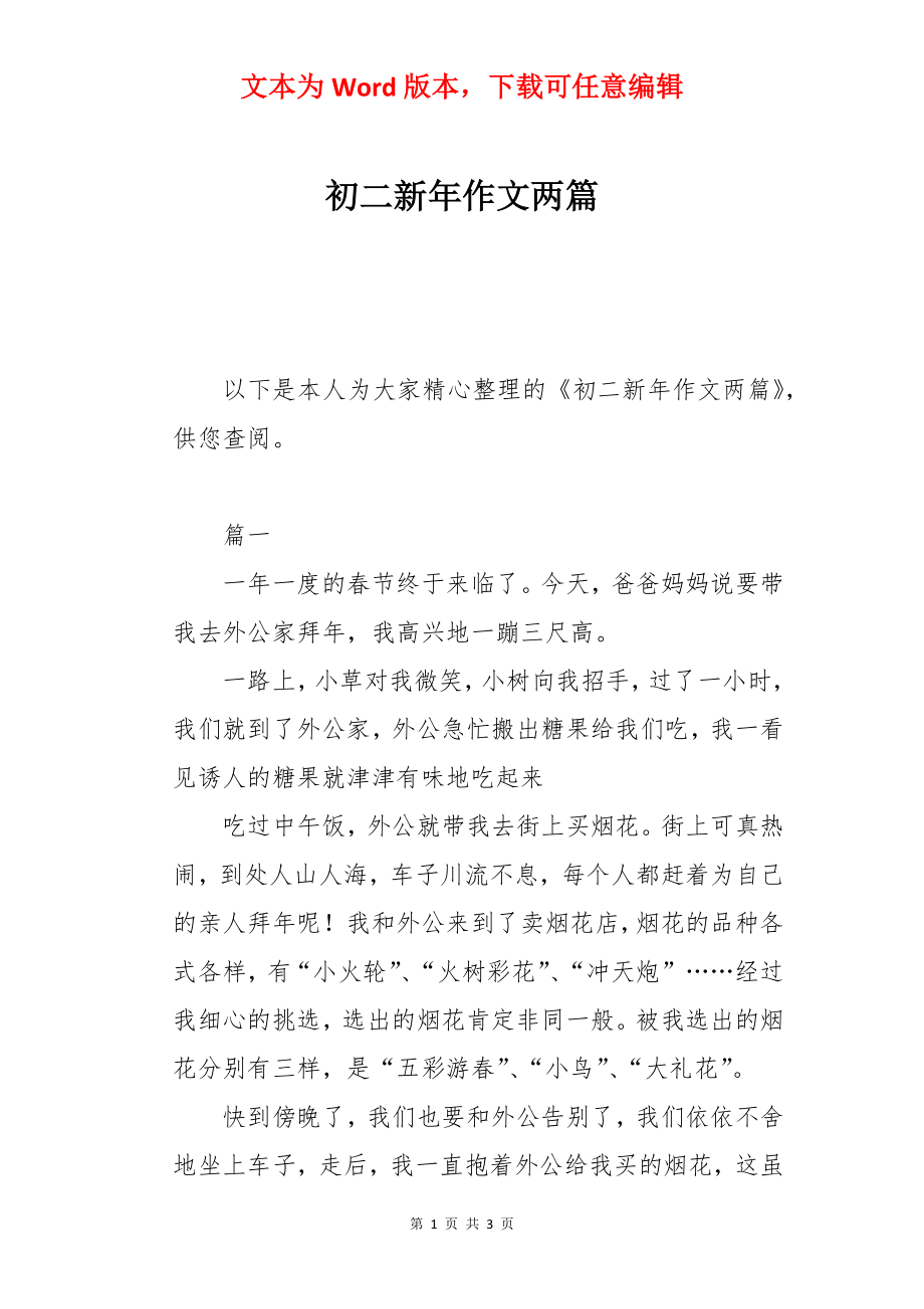 初二新年作文两篇.docx_第1页