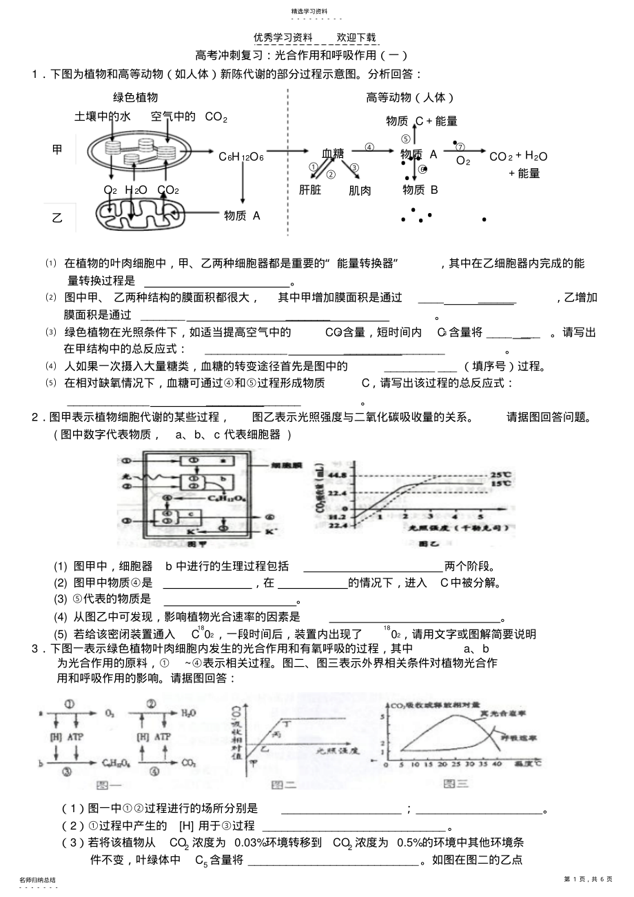 2022年高考冲刺复习光合作用和呼吸作用 .pdf_第1页