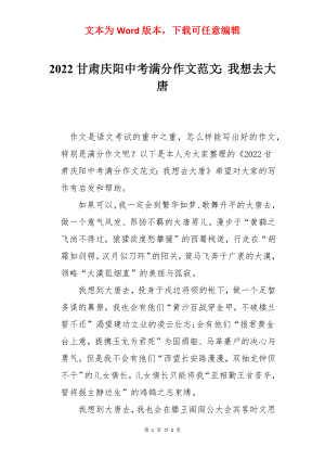 2022甘肃庆阳中考满分作文范文：我想去大唐.docx