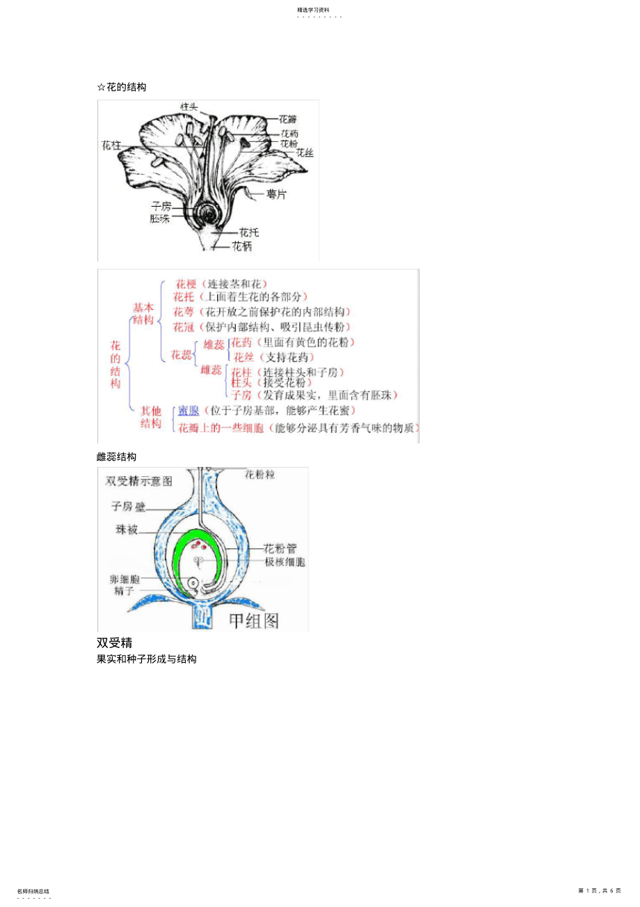 2022年高中生物必修二第一章知识点总结 2.pdf_第1页