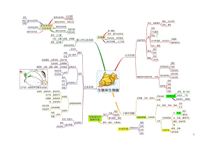 初中知识归纳干货思维导图 初中九门科目思维导图 初中生物-思维导图（7图）.pdf