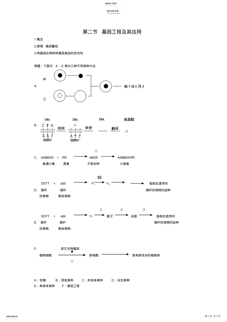 2022年广东高中生物知识点必修二第67章 .pdf_第2页