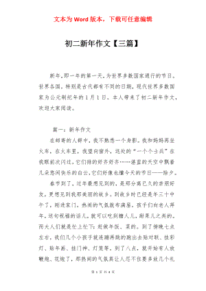 初二新年作文【三篇】.docx