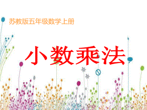 小数乘法 (3).ppt