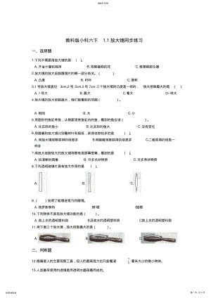 2022年教科版小科六下1.1放大镜同步练习 .pdf