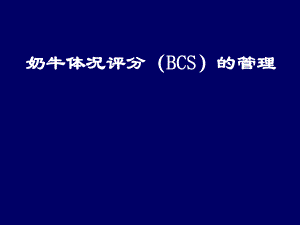 高产奶牛体况评分(BCS)ppt课件.ppt