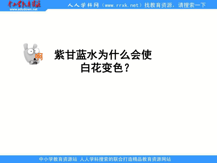 科学六上《变色花》ppt课件.ppt_第2页