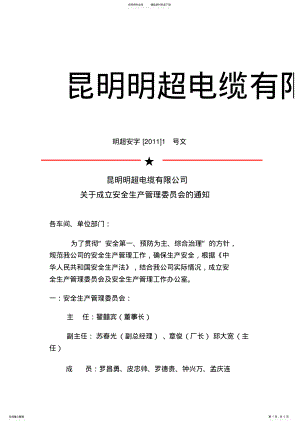 2022年2022年公司成立安全生产管理委员会 .pdf