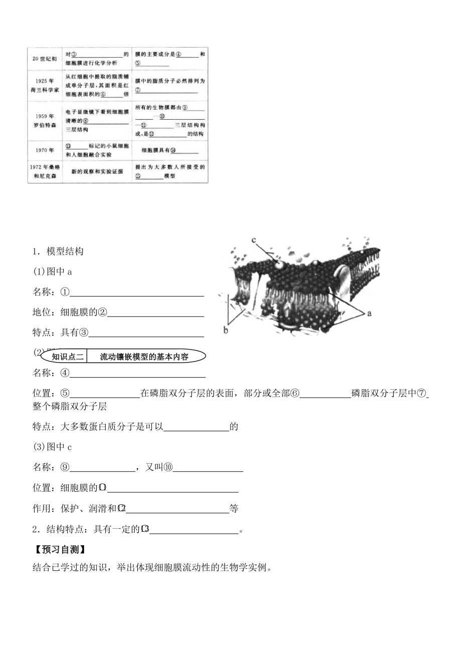 【高中生物】人教版高中生物必修1学案：4.2-生物膜的流动镶嵌模型-Word版含答案.doc_第2页